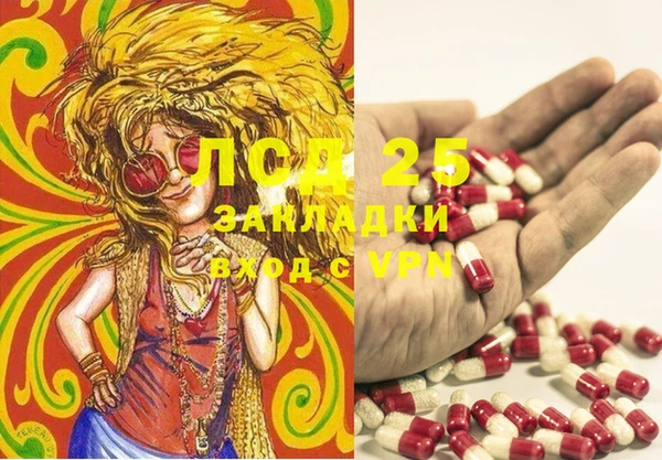 эйфоретик Абинск