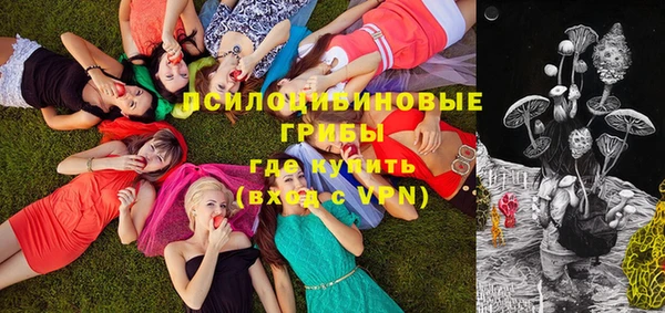 спайс Абаза